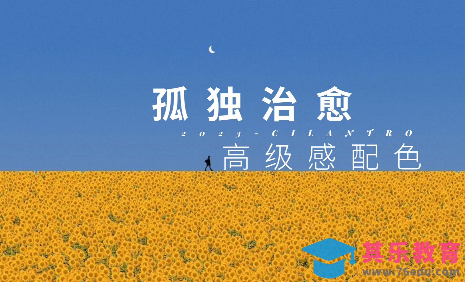 孤独治愈-高级感配色/设计色彩搭配[虎课网平面设计视频教程][图片排版配色MP4高清全集 ]-第1张图片-我要自学网