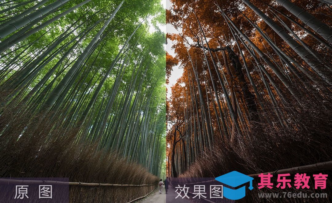 LR-风光修片三原色讲解[虎课网手机摄影入门视频教程][MP4产品摄影教程全集 ]-第1张图片-我要自学网