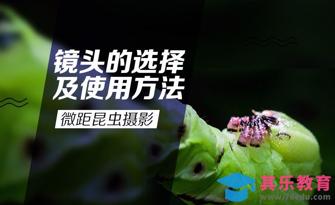 微距摄影实操课程[虎课网手机摄影入门视频教程][MP4产品摄影教程全集 ]-第1张图片-我要自学网