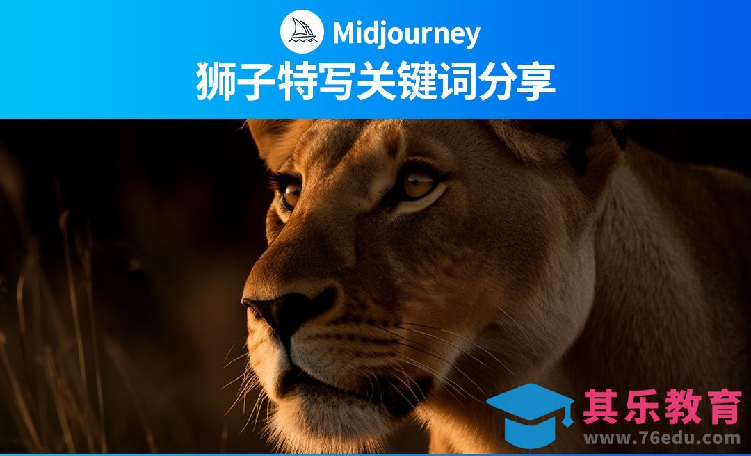 Midjourney-狮子特写关键词分享[虎课网AICG人工智能视频教程][MP4高清全集 ]-第1张图片-我要自学网