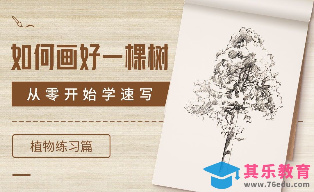 速写-如何画好一棵树[虎课网绘画插画视频教程][ipad商业插画MP4教程全集 ]-第1张图片-我要自学网