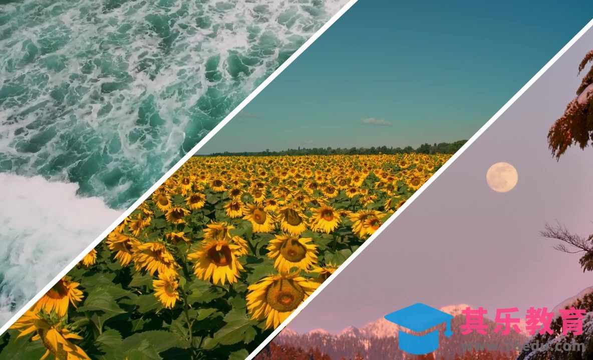 PR-创意vlog三分屏效果[虎课网影视动画制作视频教程][MP4影视拍摄教程全集 ]-第1张图片-我要自学网