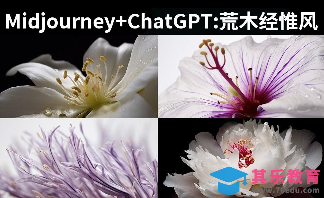 Midjourney+人工智能：荒木经惟风格训练[虎课网AICG人工智能视频教程][MP4高清全集 ]-第1张图片-我要自学网