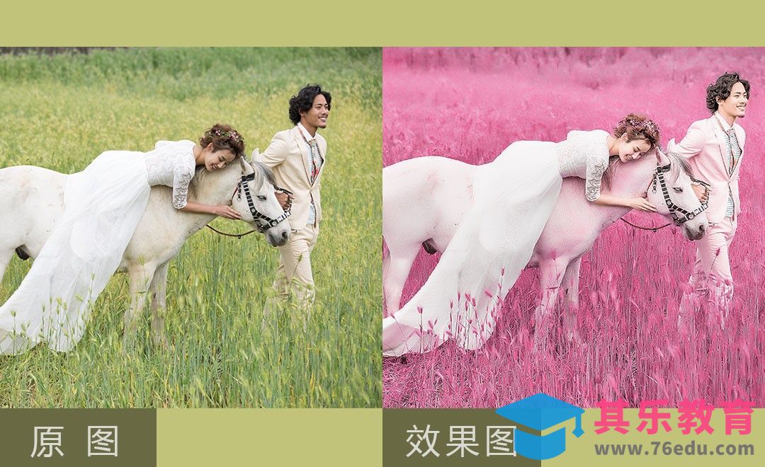 PS-绿植变网红草婚纱摄影后期[虎课网手机摄影入门视频教程][MP4产品摄影教程全集 ]-第1张图片-我要自学网