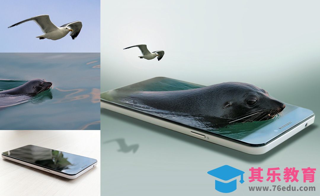 PS-手机里游泳的海豹[平面设计视频教程][海报设计MP4高清全集 ]-第1张图片-我要自学网