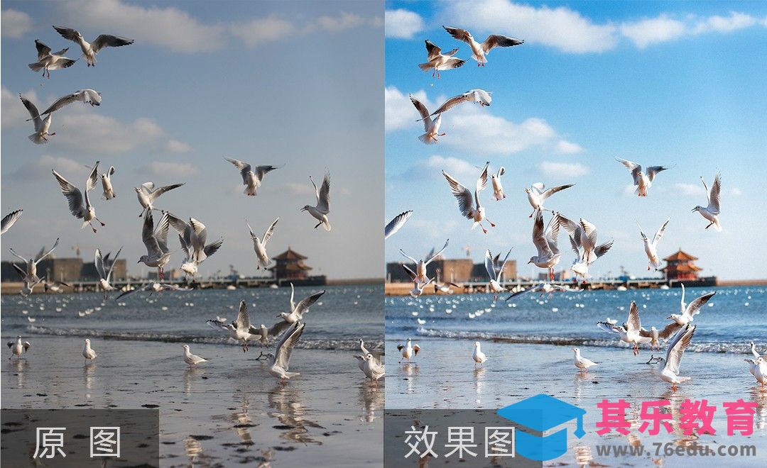 PS-海鸥风光大片后期制作[虎课网手机摄影入门视频教程][MP4产品摄影教程全集 ]-第1张图片-我要自学网