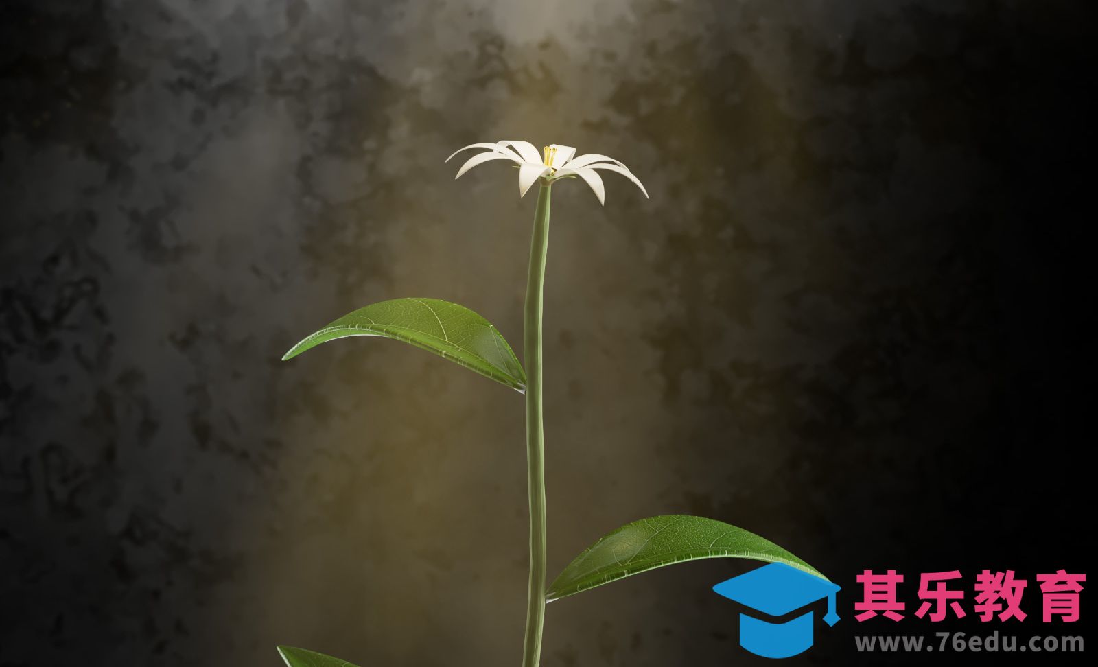 超实用！C4D中使用Taiao制作植物生长[虎课网C4D设计视频教程][产品数码建模MP4教程全集 ]-第1张图片-我要自学网