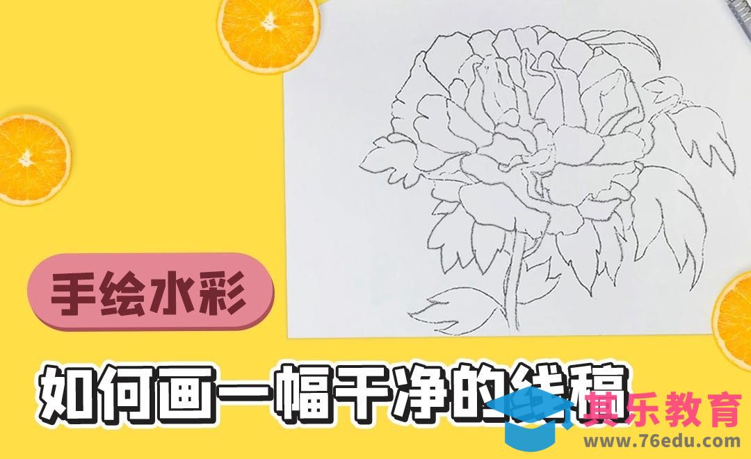 水彩入门-如何画一幅干净的线稿-牡丹花[虎课网绘画插画视频教程][ipad商业插画MP4教程全集 ]-第1张图片-我要自学网