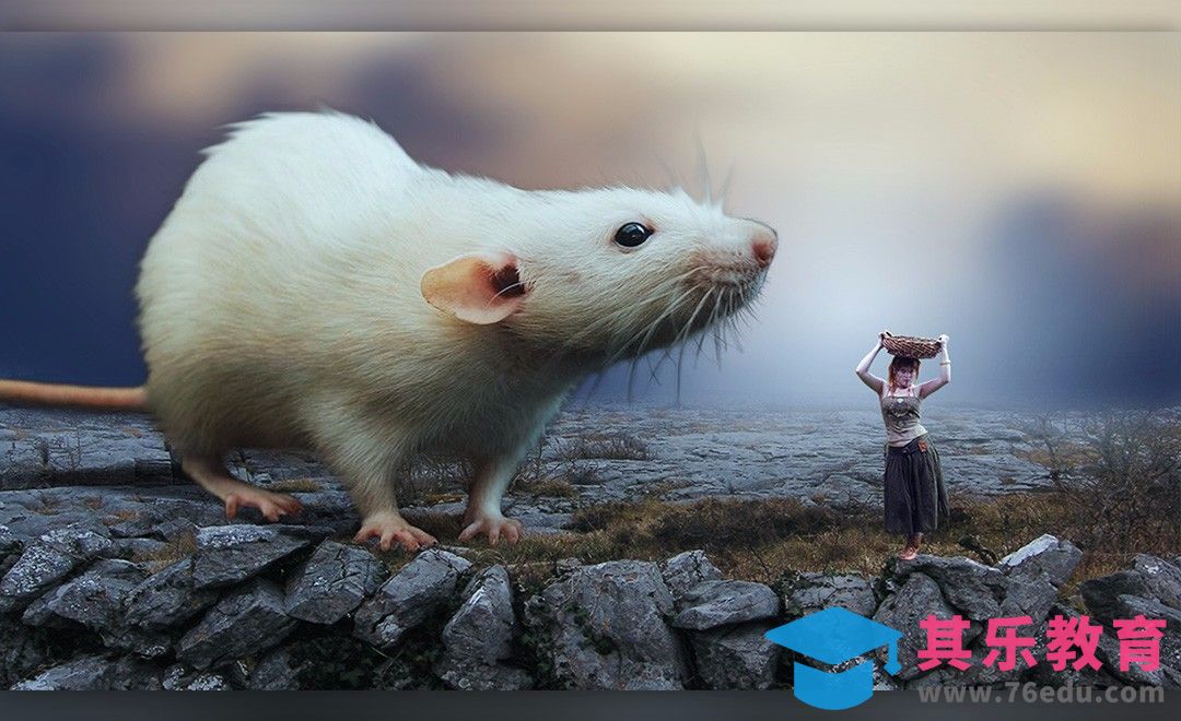 PS-超现实动物场景合成[平面设计视频教程][海报设计MP4高清全集 ]-第1张图片-我要自学网