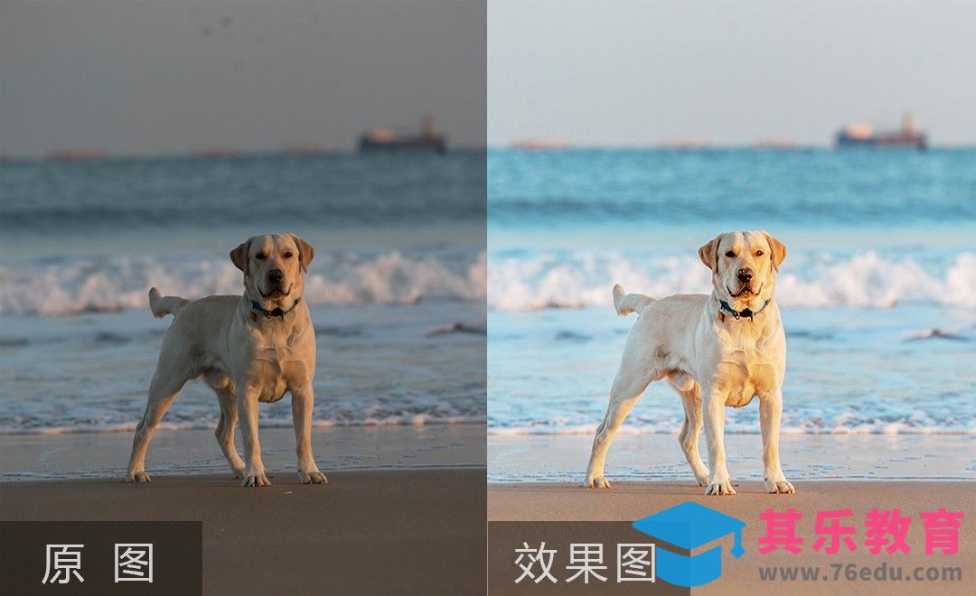 PS-海边萌宠后期教程[虎课网手机摄影入门视频教程][MP4产品摄影教程全集 ]-第1张图片-我要自学网