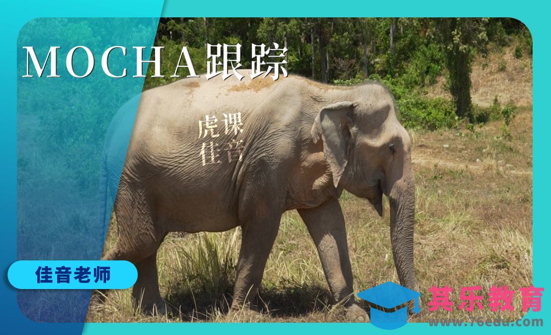 AE-MOCHA跟踪文字实战动效[虎课网影视动画制作视频教程][MP4影视拍摄教程全集 ]-第1张图片-我要自学网