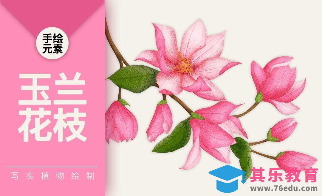 AI+PS-写实感玉兰花枝[虎课网绘画插画视频教程][ipad商业插画MP4教程全集 ]-第1张图片-我要自学网