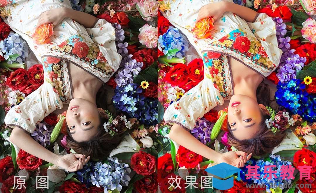 PS+LR-花主题写真后期课程[虎课网手机摄影入门视频教程][MP4产品摄影教程全集 ]-第1张图片-我要自学网