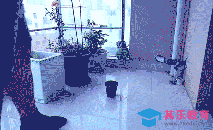 AE-种出一棵魔法树[虎课网影视动画制作视频教程][MP4影视拍摄教程全集 ]-第1张图片-我要自学网