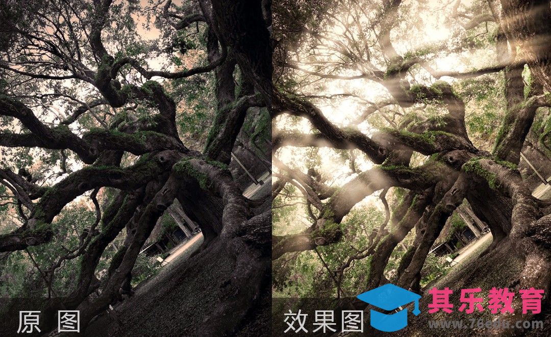 PS-风光片林间光线效果后期制作[虎课网手机摄影入门视频教程][MP4产品摄影教程全集 ]-第1张图片-我要自学网