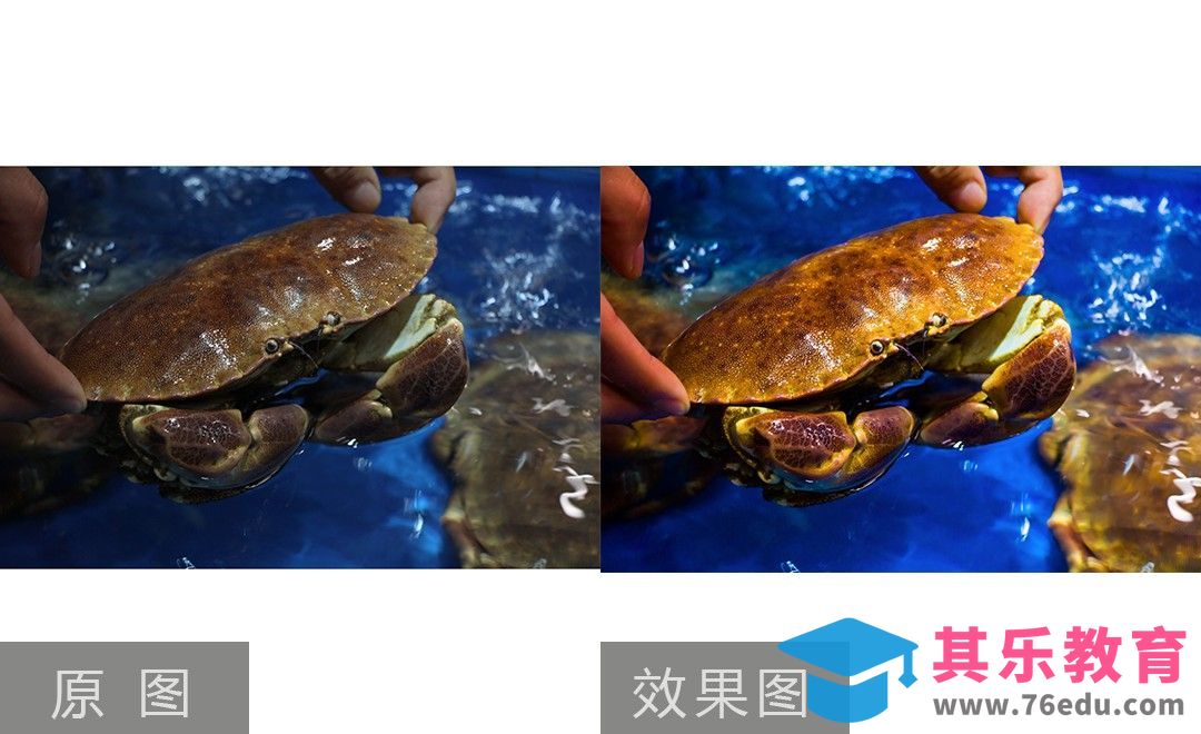 PS-生猛海鲜后期色调恢复[虎课网电商产品精修视频教程][最新PS修图教程全集MP4 ]-第1张图片-我要自学网