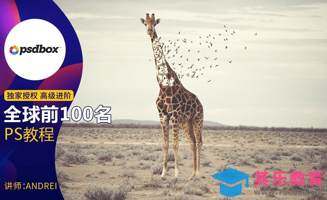 PS-动物保护主题创意合成海报[虎课网最新视频教程][免费高清MP4教程全集 ]-第1张图片-我要自学网