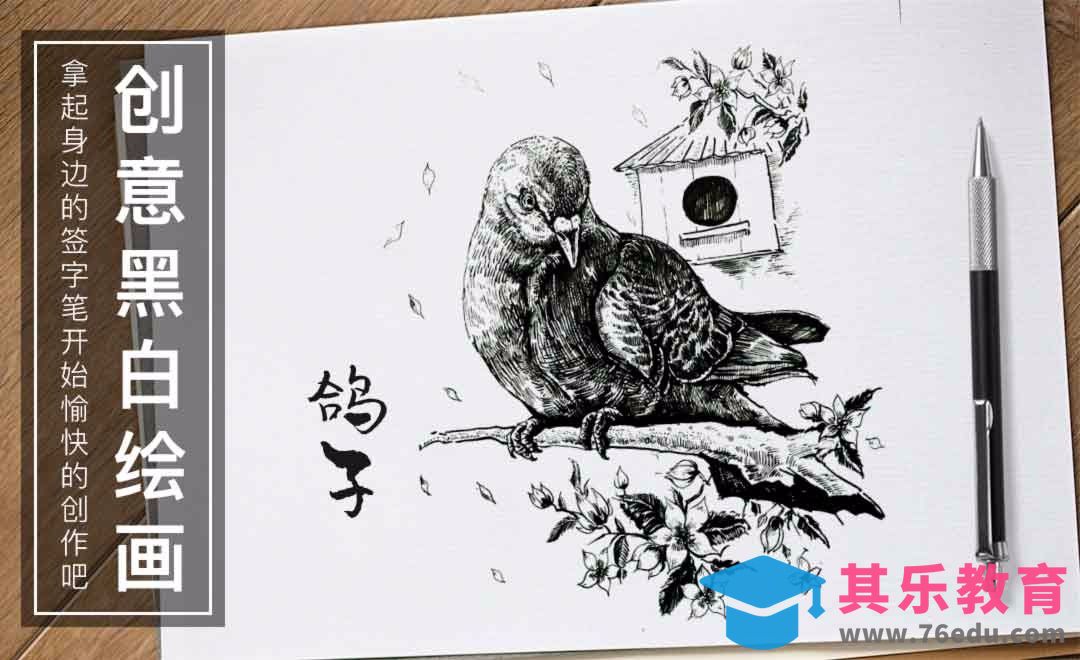 针管笔-鸽子-黑白插图[虎课网绘画插画视频教程][ipad商业插画MP4教程全集 ]-第1张图片-我要自学网