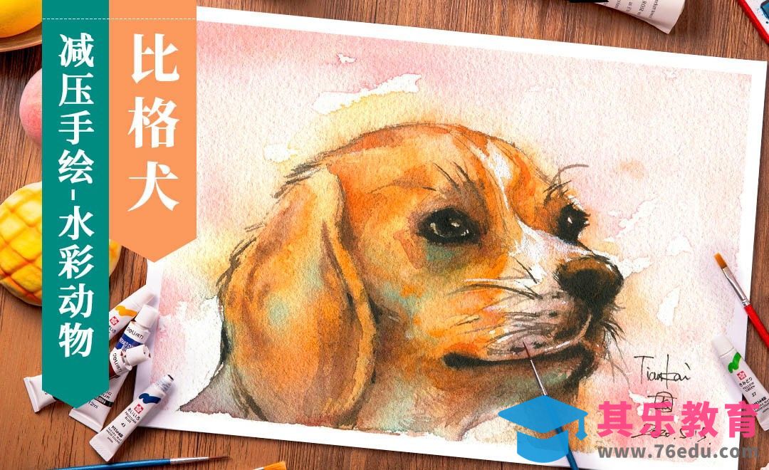 【减压手绘萌宠】水彩-比格犬[虎课网绘画插画视频教程][ipad商业插画MP4教程全集 ]-第1张图片-我要自学网