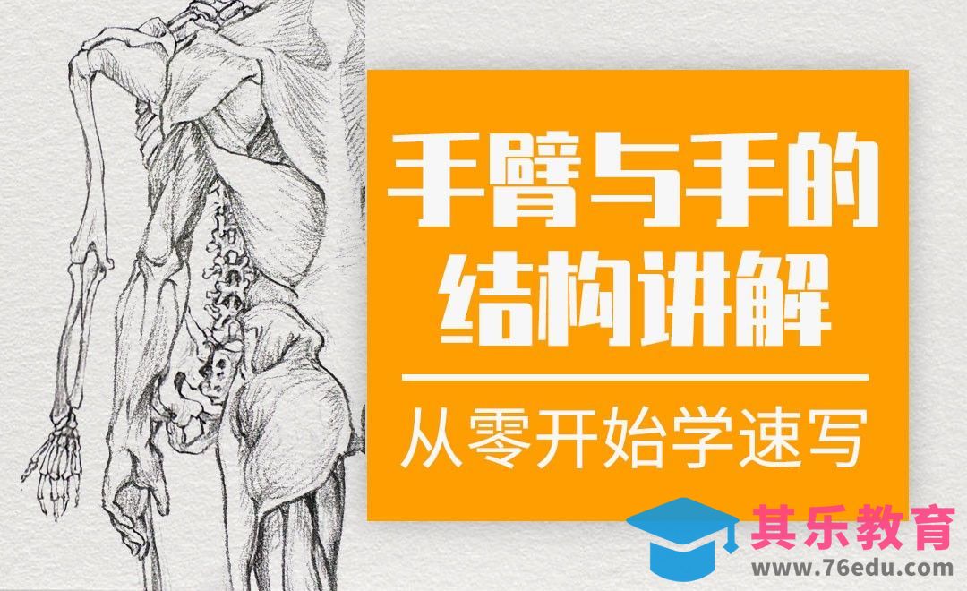速写系列课程-手臂与手的结构讲解[虎课网绘画插画视频教程][ipad商业插画MP4教程全集 ]-第1张图片-我要自学网