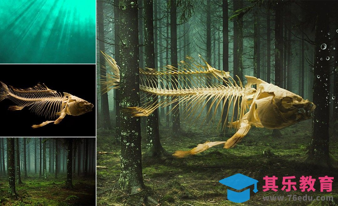 PS-森林鱼骨环保主题创意合成[虎课网最新视频教程][免费高清MP4教程全集 ]-第1张图片-我要自学网