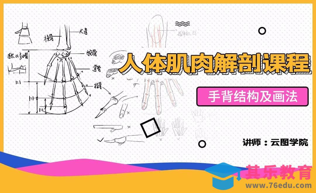 手背结构及画法-人体肌肉解剖课程[虎课网绘画插画视频教程][ipad商业插画MP4教程全集 ]-第1张图片-我要自学网