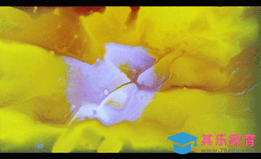 AE-iPhoneX动态屏保流体效果[虎课网影视动画制作视频教程][MP4影视拍摄教程全集 ]-第1张图片-我要自学网