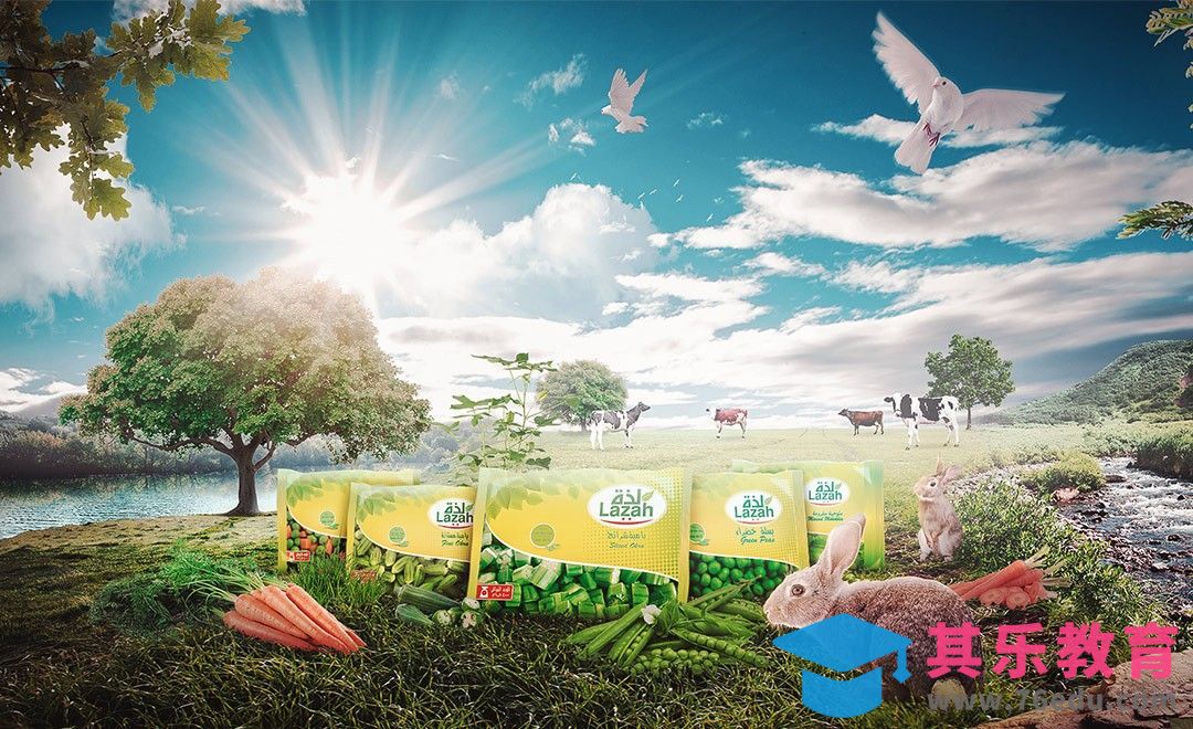 PS-速食半成品平面合成广告[虎课网最新视频教程][免费高清MP4教程全集 ]-第1张图片-我要自学网