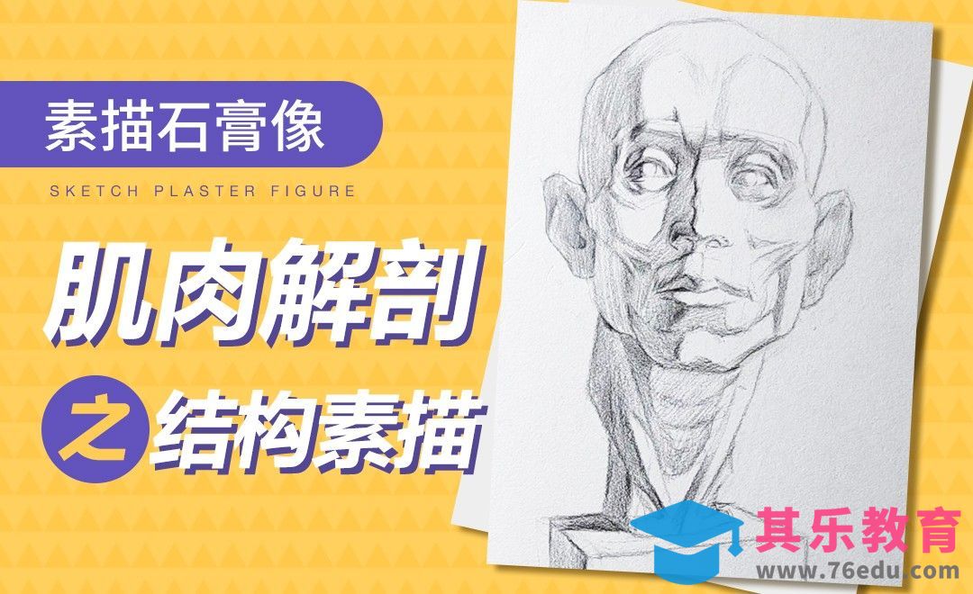 铅笔-素描-肌肉解剖石膏像之结构素描[虎课网绘画插画视频教程][ipad商业插画MP4教程全集 ]-第1张图片-我要自学网