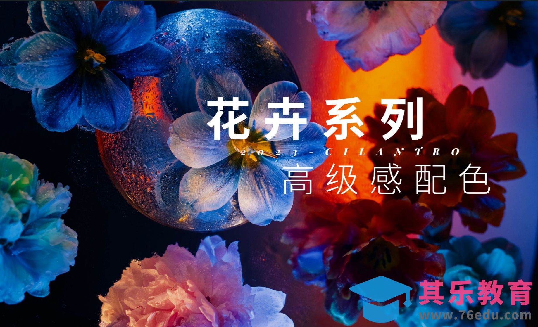 花卉系列高级感配色02-审美提升与配色纯享[虎课网平面设计视频教程][图片排版配色MP4高清全集 ]-第1张图片-我要自学网