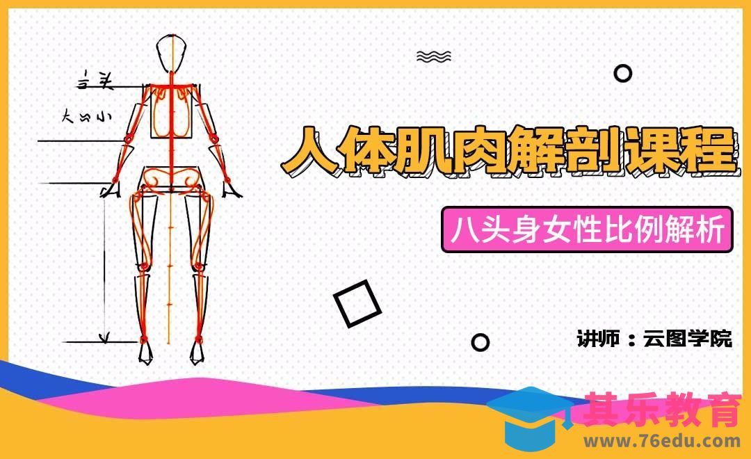 八头身女性比例解析-人体肌肉解剖课程[虎课网绘画插画视频教程][ipad商业插画MP4教程全集 ]-第1张图片-我要自学网