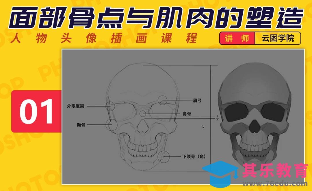 如何画出好看的脸-面部骨点与肌肉塑造[虎课网绘画插画视频教程][ipad商业插画MP4教程全集 ]-第1张图片-我要自学网