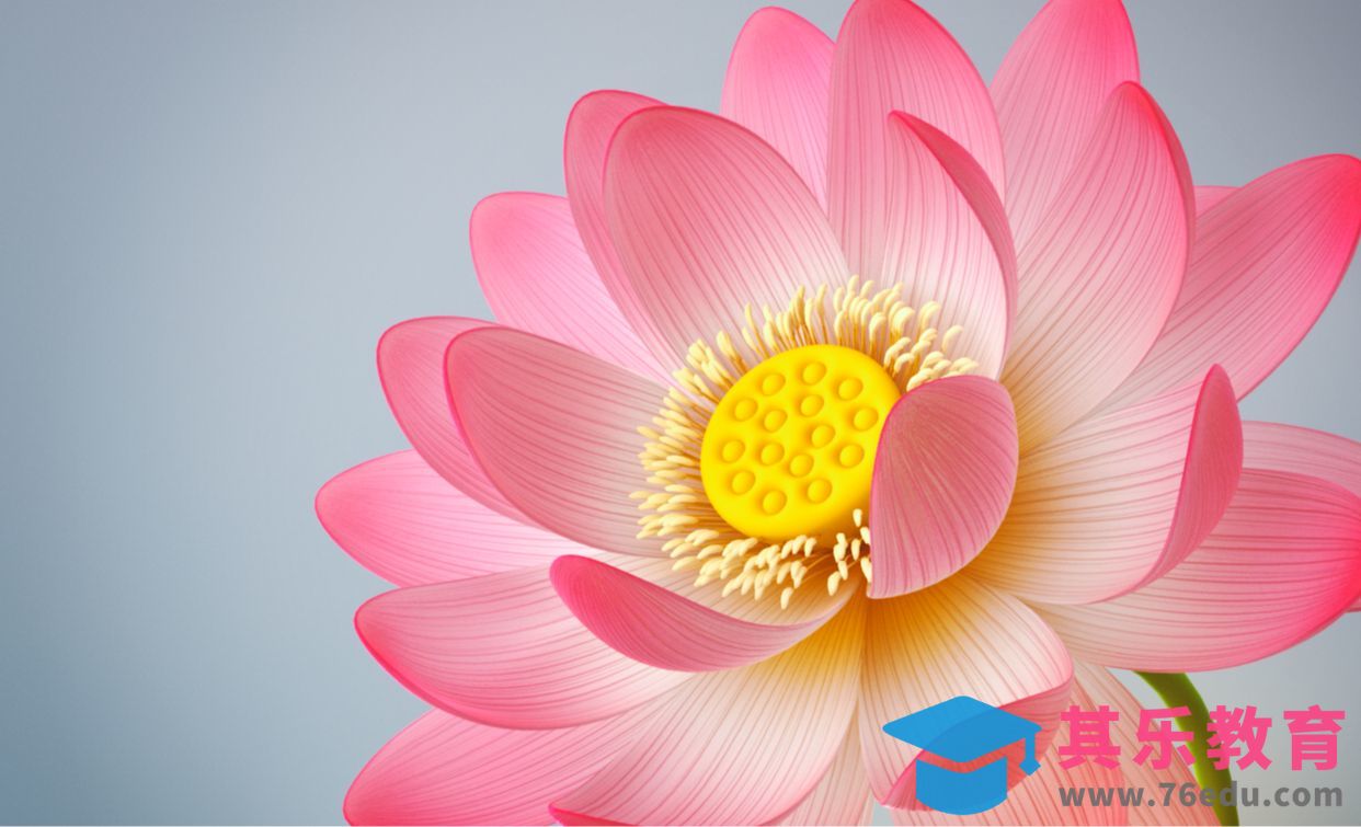 C4D+阿诺德-夏日莲花荷花建模[虎课网C4D设计视频教程][产品数码建模MP4教程全集 ]-第1张图片-我要自学网