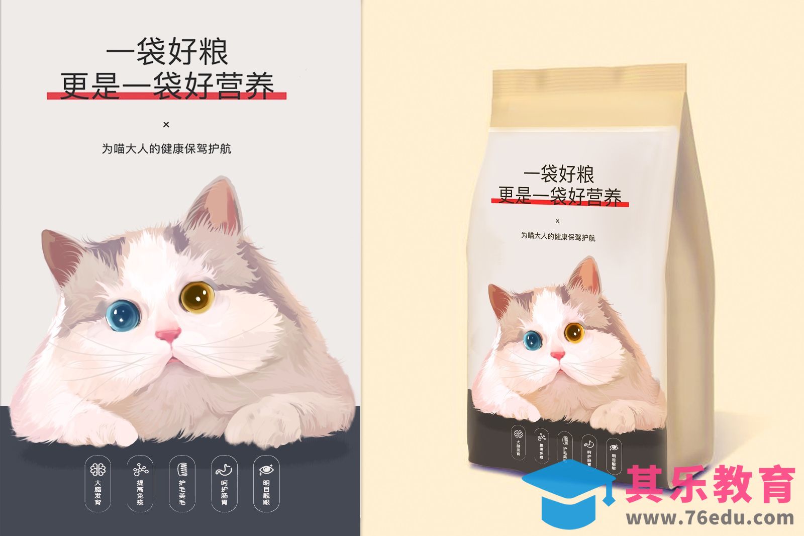 Procreate-iPad商业插画－猫粮包装插画[虎课网绘画插画视频教程][ipad商业插画MP4教程全集 ]-第1张图片-我要自学网