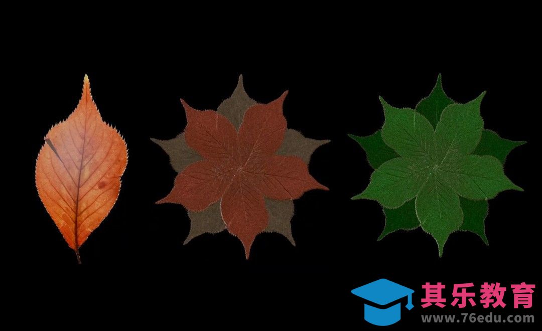 iPad基础建模：叶子建模[虎课网AICG人工智能视频教程][MP4高清全集 ]-第1张图片-我要自学网