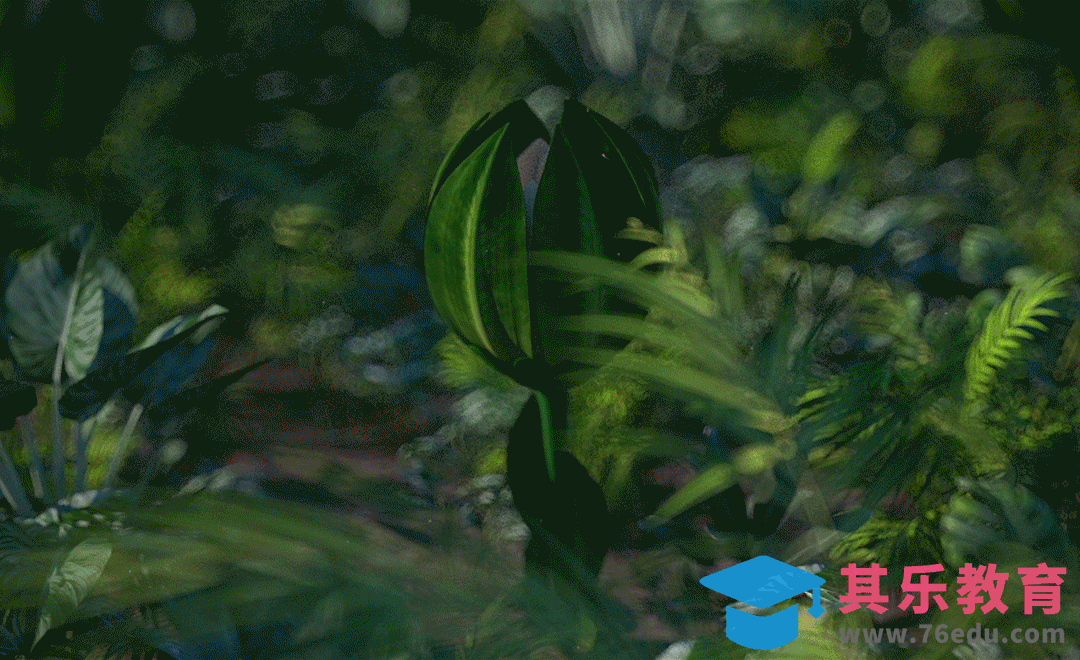 C4D+OC-花朵绽放动效建模[虎课网C4D设计视频教程][产品数码建模MP4教程全集 ]-第1张图片-我要自学网