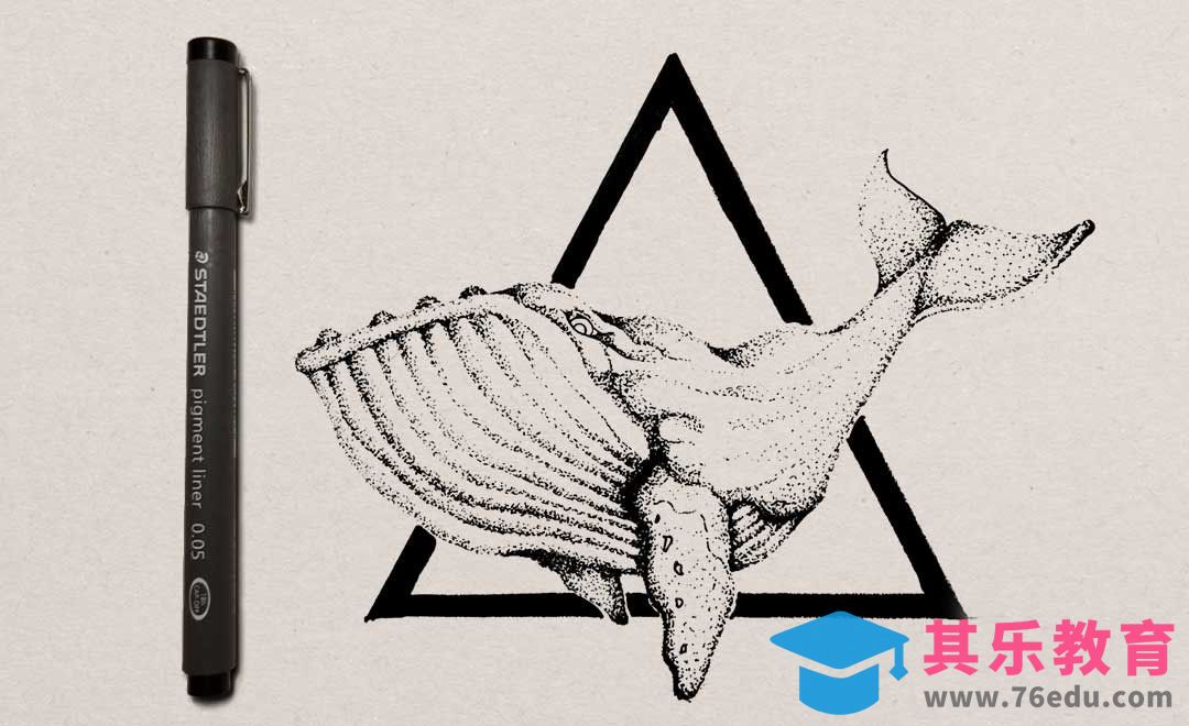 针管笔-点与面的训练-鲸鱼[虎课网绘画插画视频教程][ipad商业插画MP4教程全集 ]-第1张图片-我要自学网