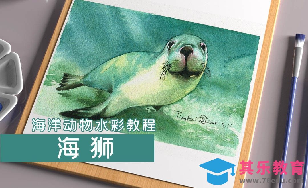 水彩- 海洋动物-海狮[虎课网绘画插画视频教程][ipad商业插画MP4教程全集 ]-第1张图片-我要自学网