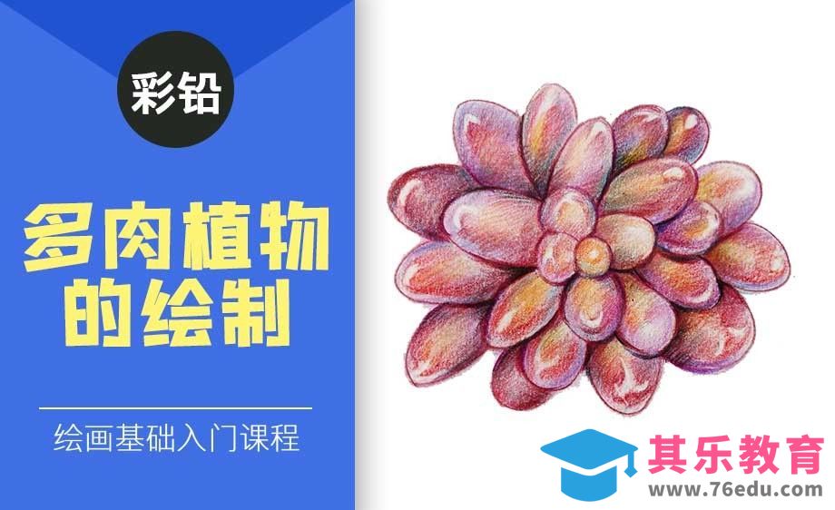 色粉+彩铅-多肉植物[虎课网绘画插画视频教程][ipad商业插画MP4教程全集 ]-第1张图片-我要自学网