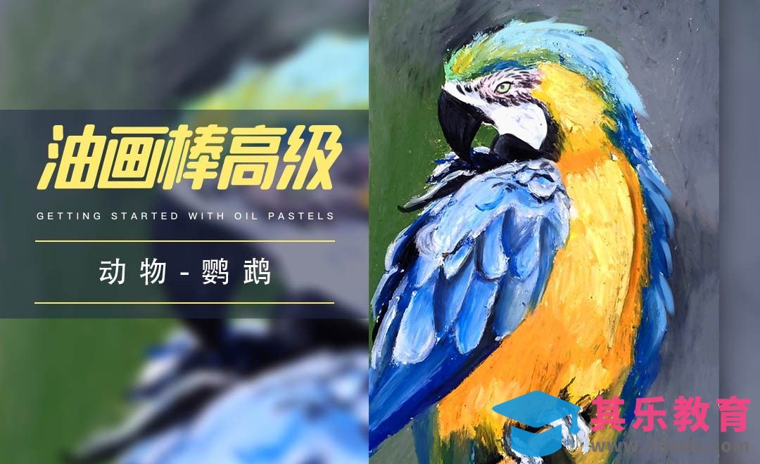 高级|油画棒写实鹦鹉[虎课网绘画插画视频教程][ipad商业插画MP4教程全集 ]-第1张图片-我要自学网