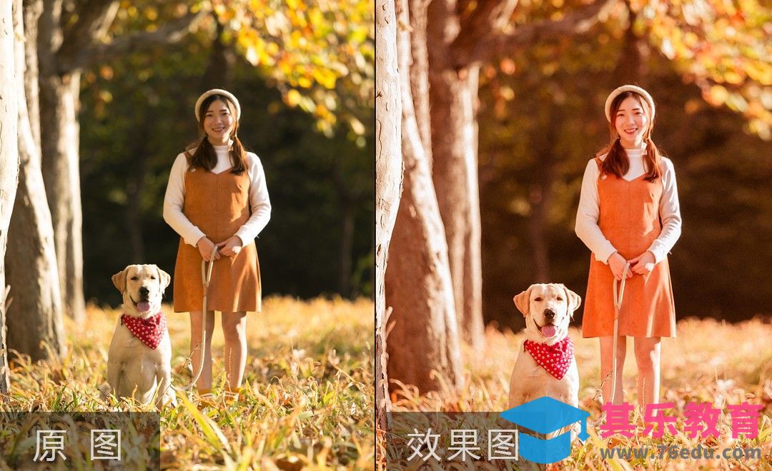 PS-秋季宠物和人像的后期处理[虎课网手机摄影入门视频教程][MP4产品摄影教程全集 ]-第1张图片-我要自学网