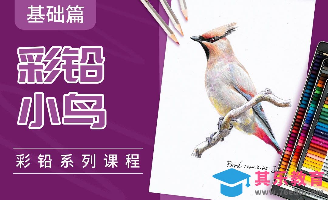 彩铅系列课程基础篇-小鸟[虎课网绘画插画视频教程][ipad商业插画MP4教程全集 ]-第1张图片-我要自学网