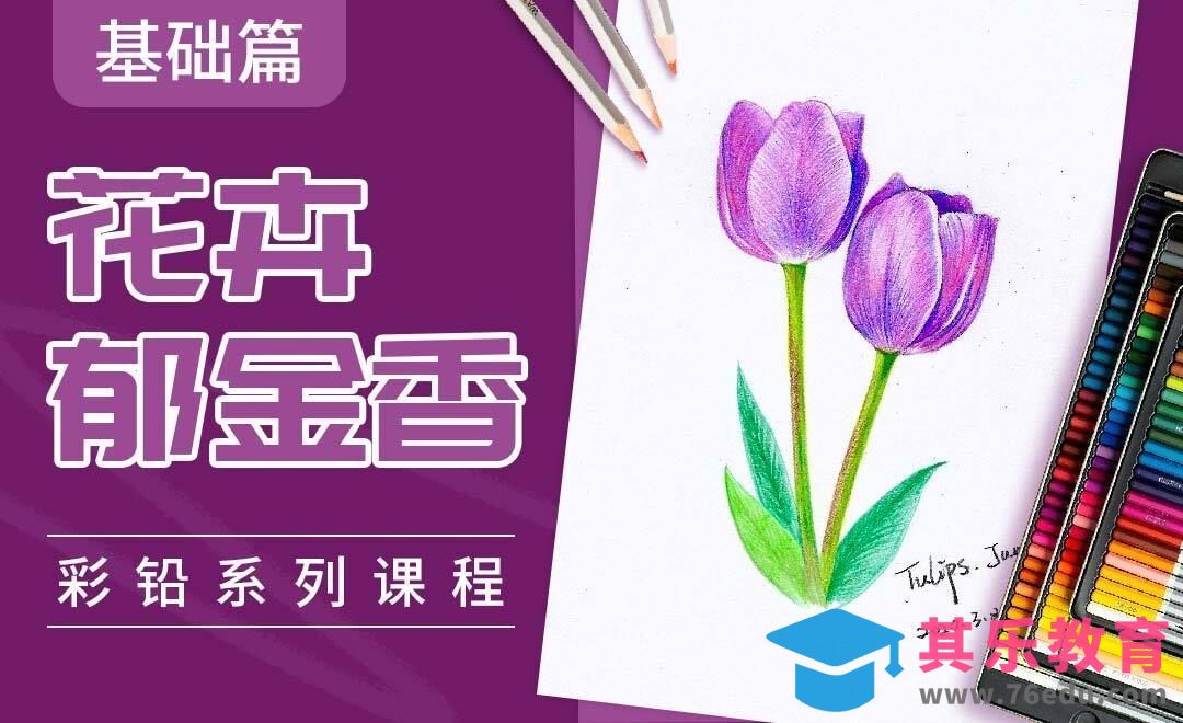 彩铅系列课程基础篇-彩铅花卉-郁金香[虎课网绘画插画视频教程][ipad商业插画MP4教程全集 ]-第1张图片-我要自学网