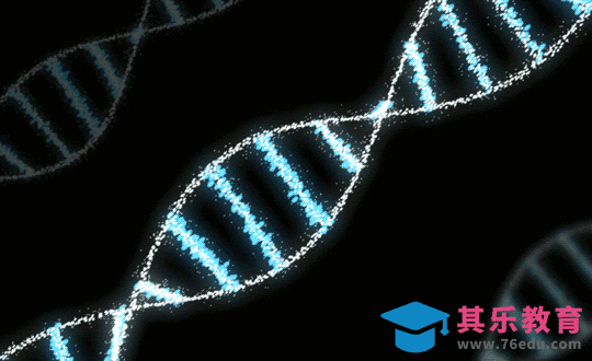 AE-DNA旋转动效[虎课网影视动画制作视频教程][MP4影视拍摄教程全集 ]-第1张图片-我要自学网