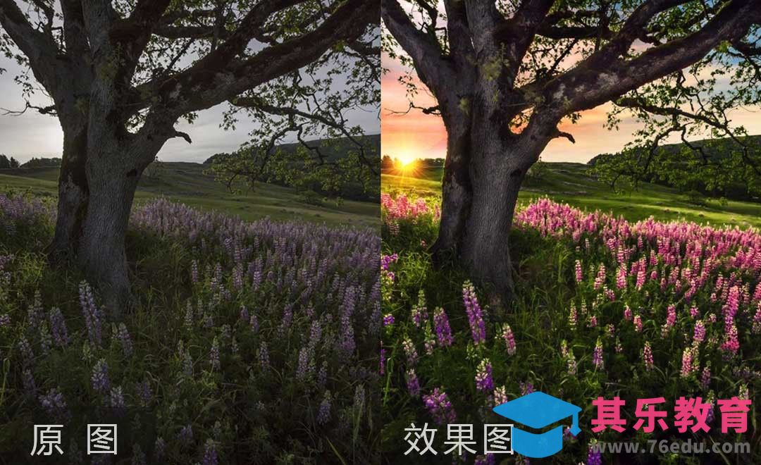 PS-灰暗花海后期修片调色[虎课网手机摄影入门视频教程][MP4产品摄影教程全集 ]-第1张图片-我要自学网