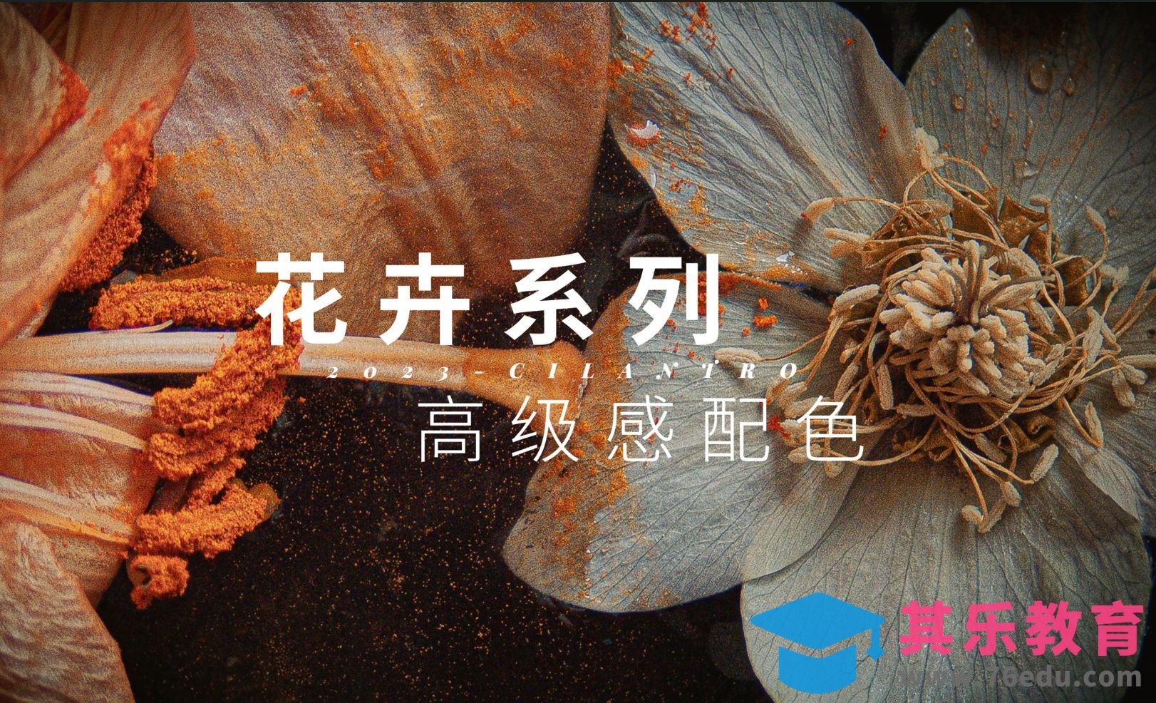 花卉系列高级感配色03-审美提升与配色纯享[虎课网平面设计视频教程][图片排版配色MP4高清全集 ]-第1张图片-我要自学网
