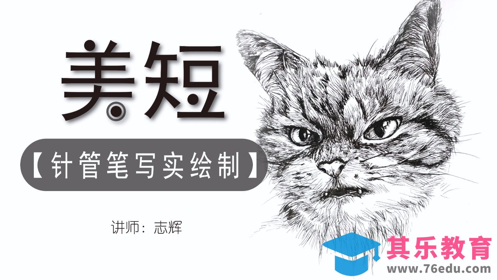 针管笔-美短猫-速写插图[虎课网绘画插画视频教程][ipad商业插画MP4教程全集 ]-第1张图片-我要自学网