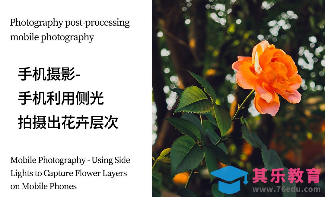 手机摄影-手机利用侧光拍摄出花卉层次[虎课网手机摄影入门视频教程][MP4产品摄影教程全集 ]-第1张图片-我要自学网
