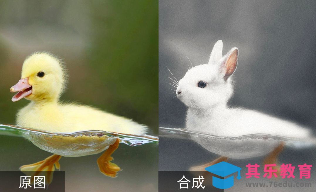 PS-动物趣味合成之通道抠图小技巧[虎课网手机摄影入门视频教程][MP4产品摄影教程全集 ]-第1张图片-我要自学网