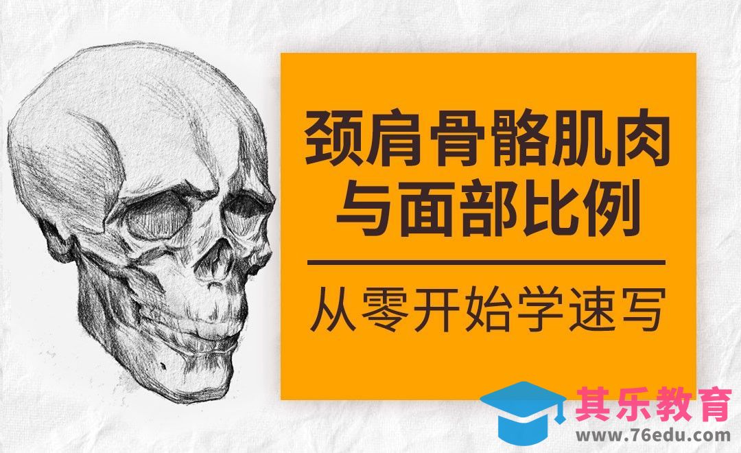 速写系列课程-颈肩骨骼肌肉与面部比例[虎课网绘画插画视频教程][ipad商业插画MP4教程全集 ]-第1张图片-我要自学网